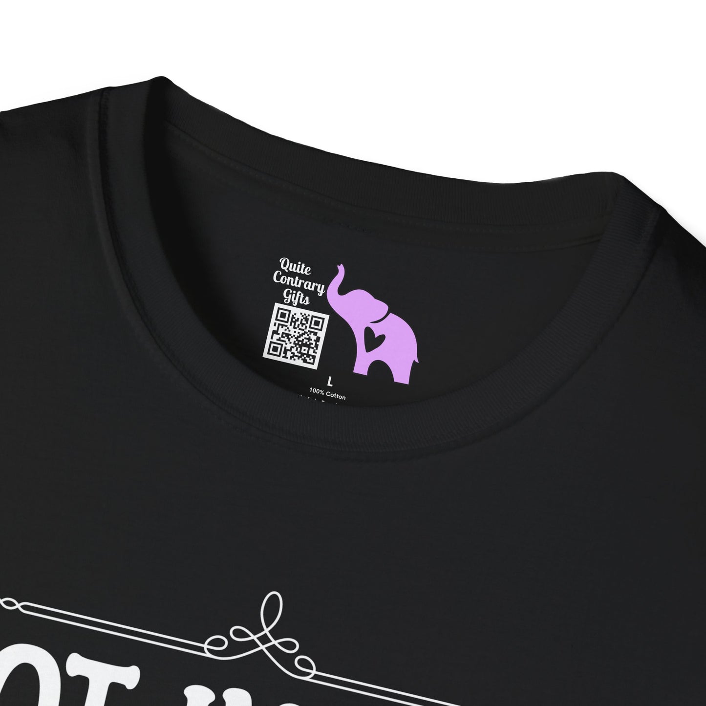 Not In A Jail/Mental Hospital/Dead I'd Say It's A Good Day Adult T-shirt