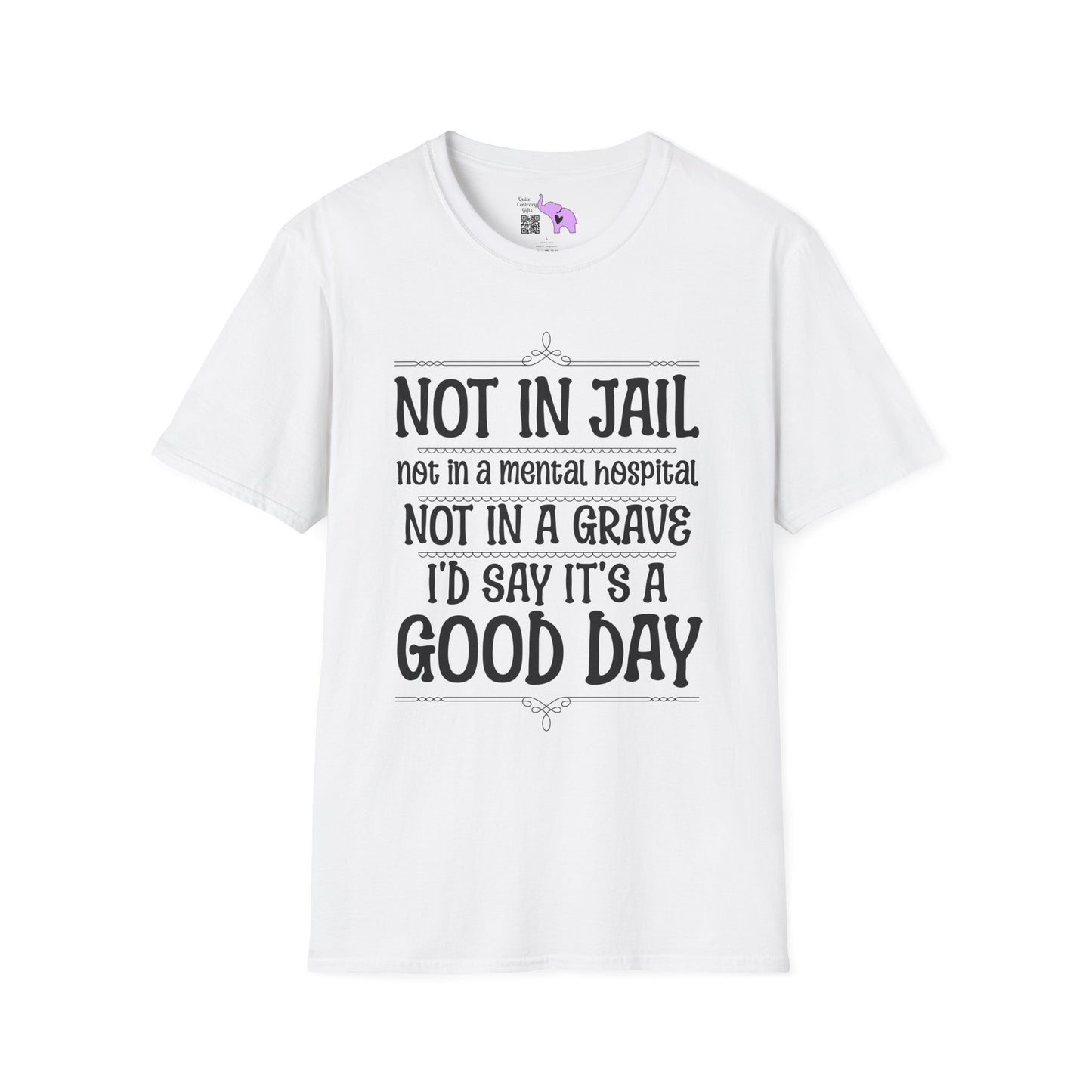 Not In A Jail/Mental Hospital/Dead I'd Say It's A Good Day Adult T-shirt