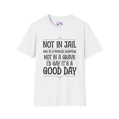 Not In A Jail/Mental Hospital/Dead I'd Say It's A Good Day Adult T-shirt