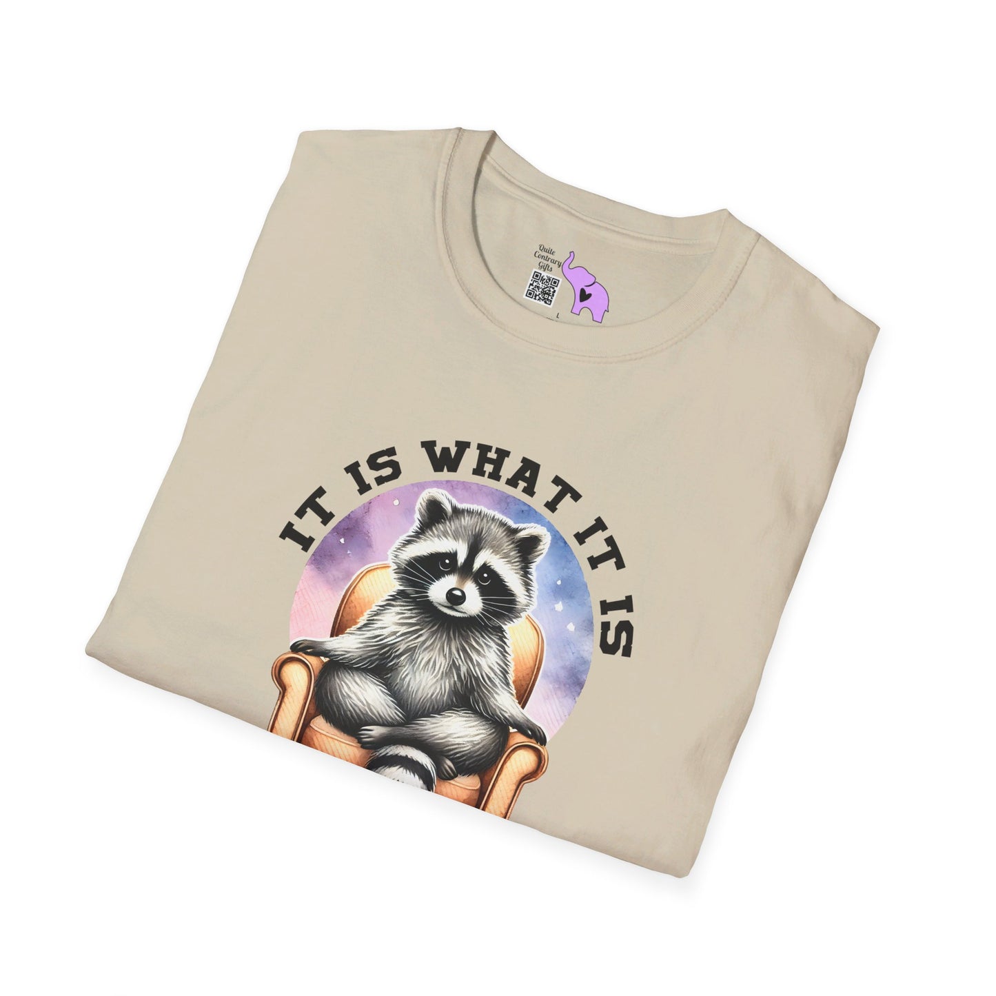 It Is What It Is And It's Not Great Raccoon T-shirt