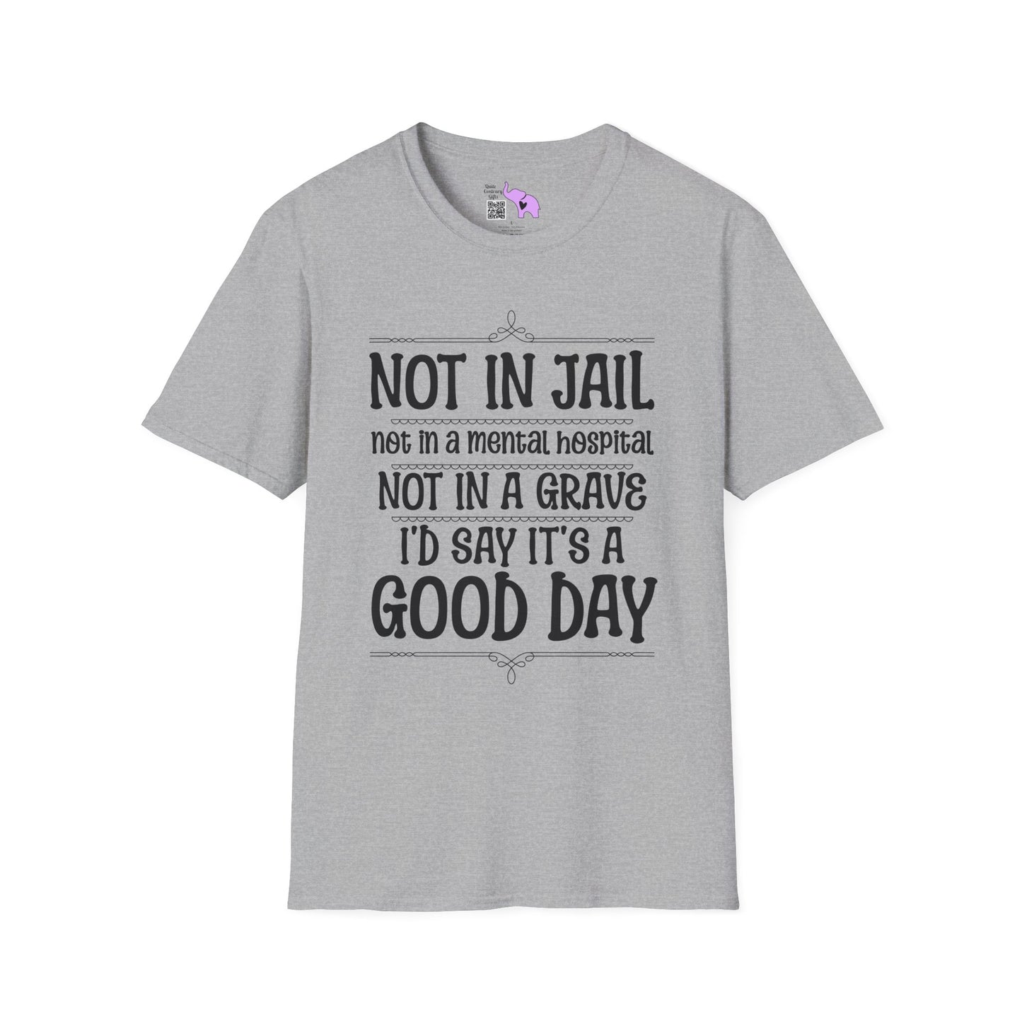 Not In A Jail/Mental Hospital/Dead I'd Say It's A Good Day Adult T-shirt