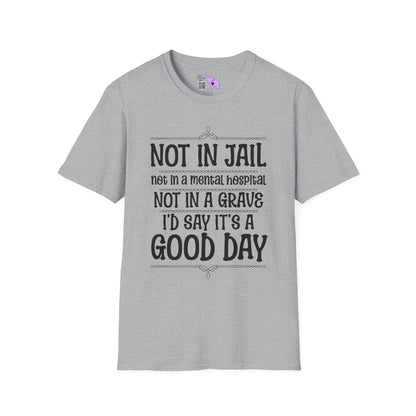 Not In A Jail/Mental Hospital/Dead I'd Say It's A Good Day Adult T-shirt