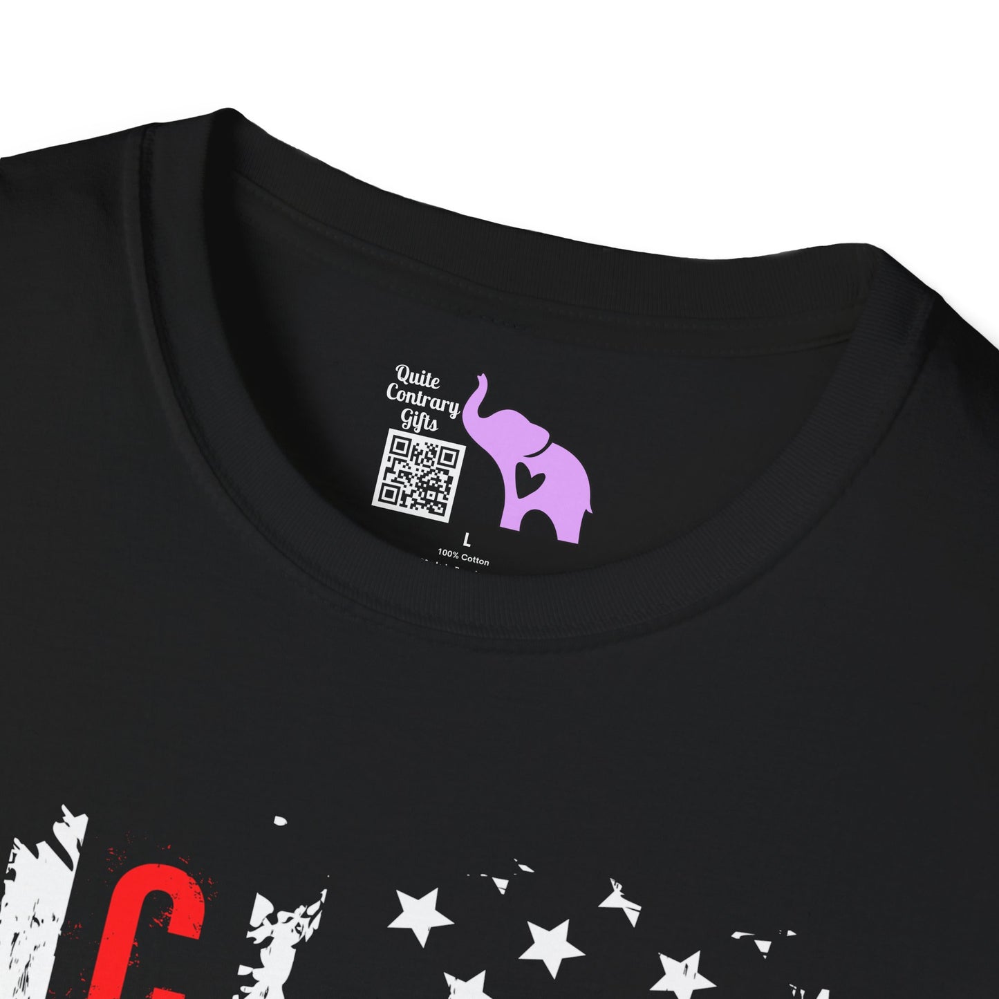 Change American Flag Adult T-shirt