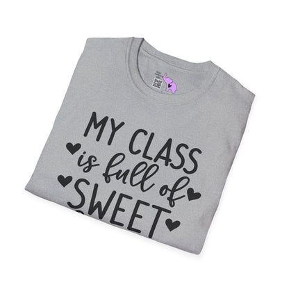 My Class is Full of Sweet Hearts Adult T-shirt