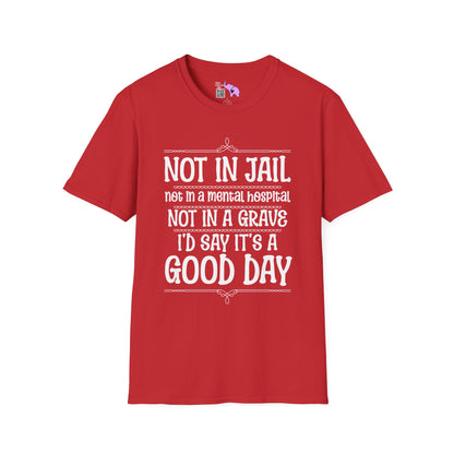 Not In A Jail/Mental Hospital/Dead I'd Say It's A Good Day Adult T-shirt