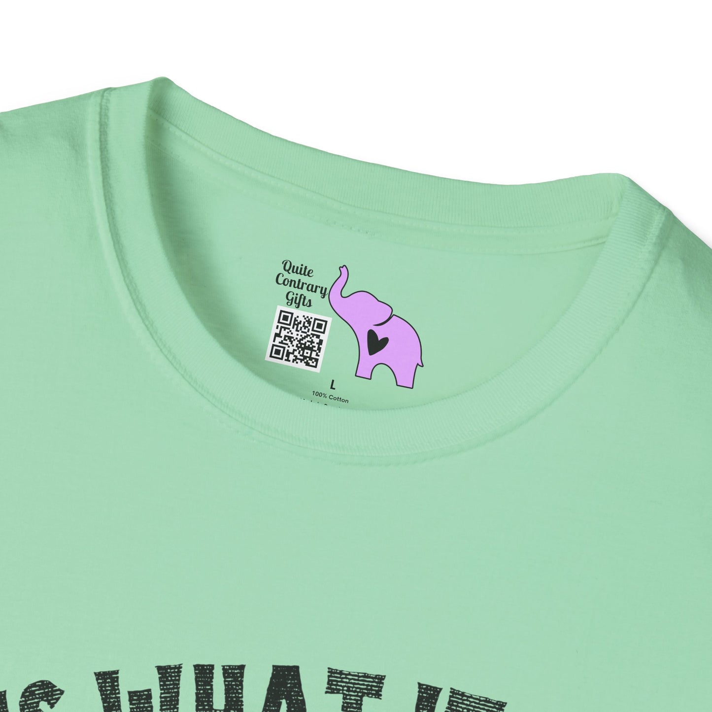 It Is What It Is And It's Not Great (Dog) Adult T-shirt