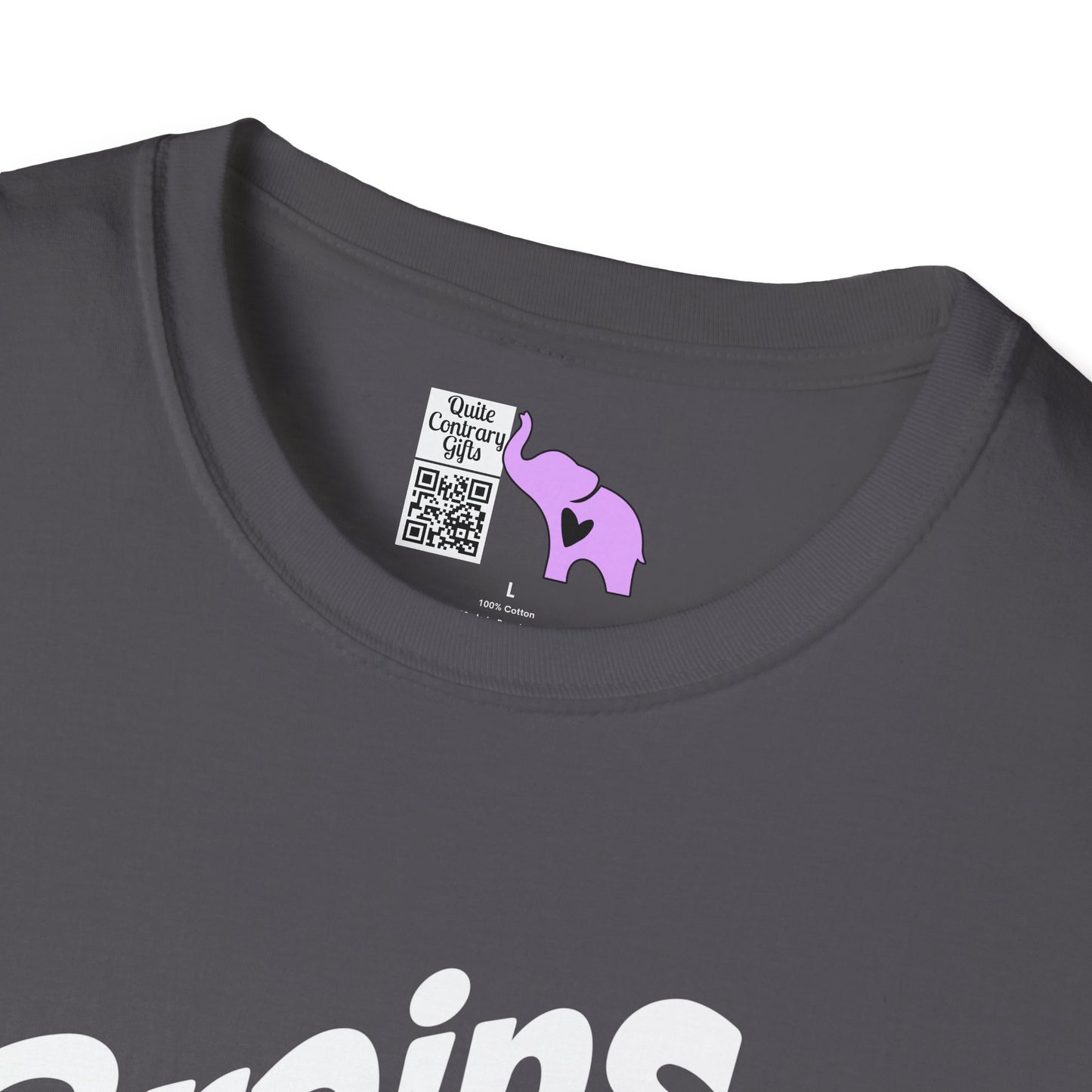 Brains Are Awesome I Wish More People Had One Adult T-shirt