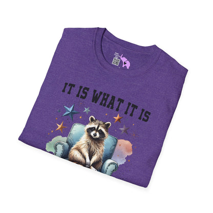 It Is What It Is And It's Not Great Racoon (2) Adult T-shirt