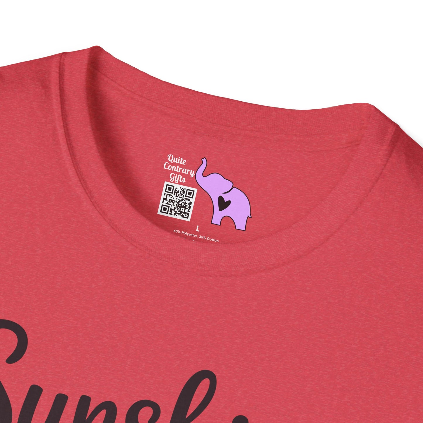 Sunshine Mixed With A Little Hurricane Adult T-shirt