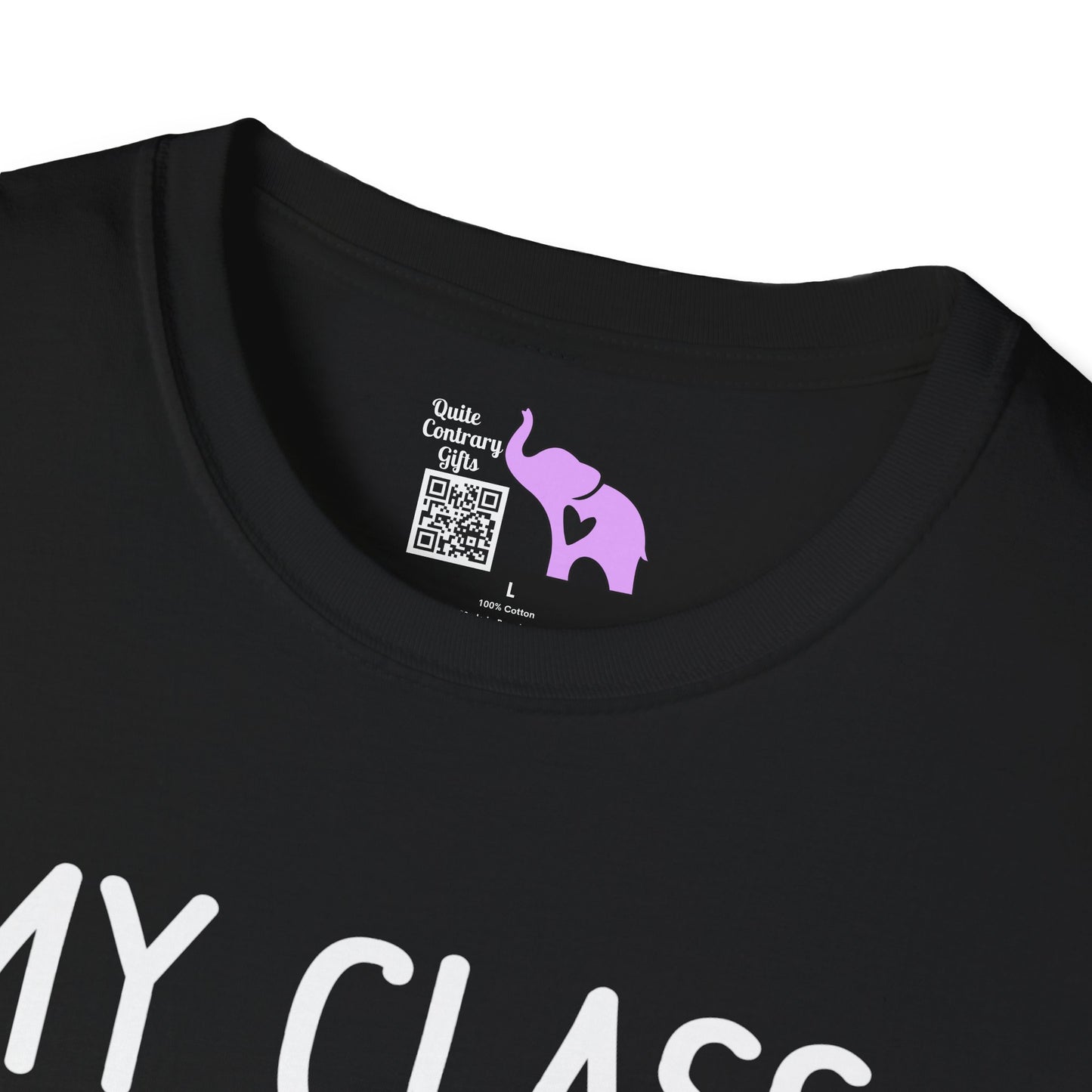 My Class is Full of Sweet Hearts Adult T-shirt