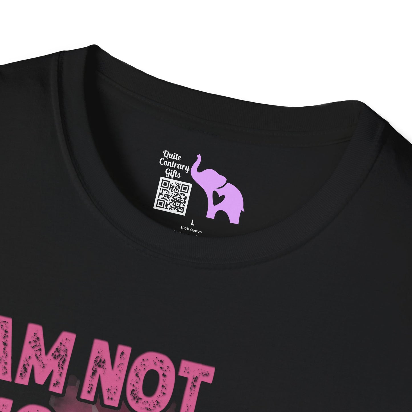 I'm Not Most Girls I Am A Veteran Adult T-Shirt
