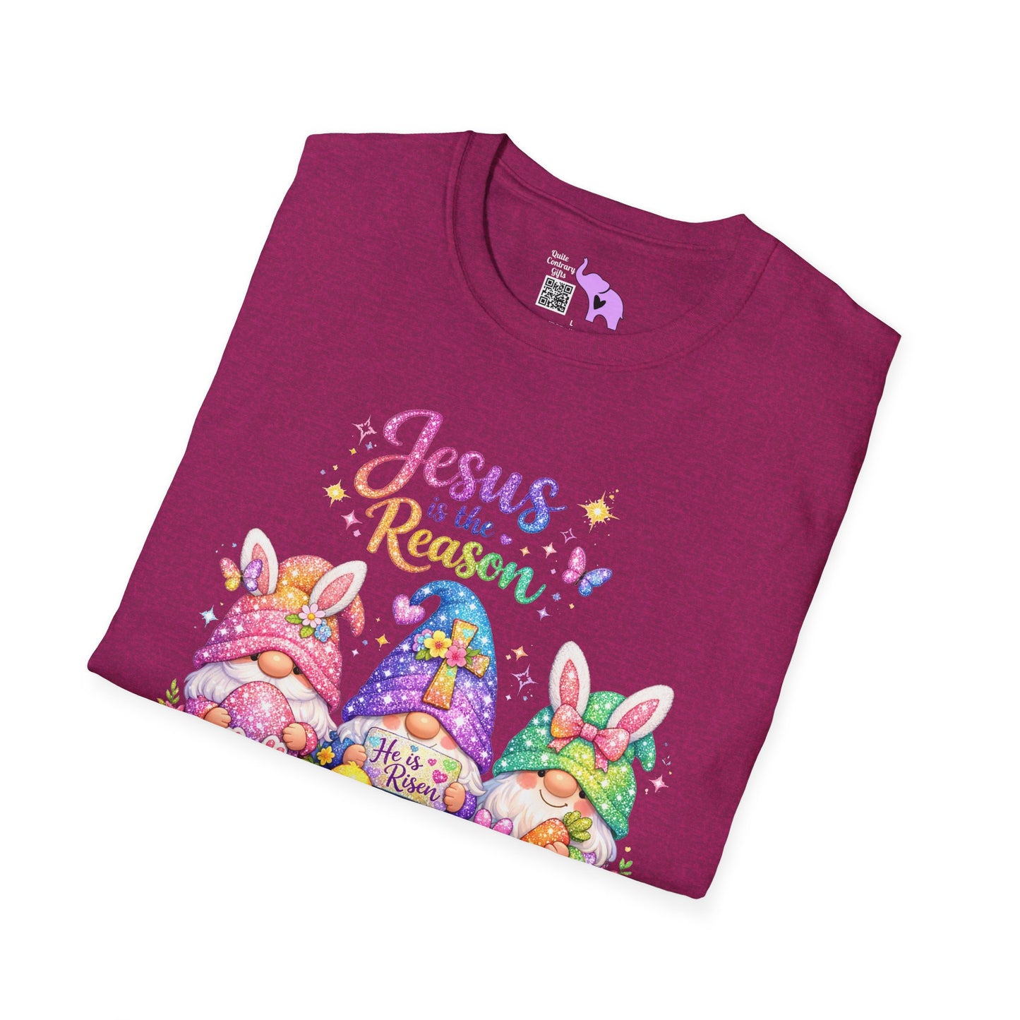 Jesus Is The Reason Adult T-shirt