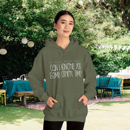 I'm Busy Right Now Can I Ignore You Later? Heavy Blend™ Hooded Sweatshirt