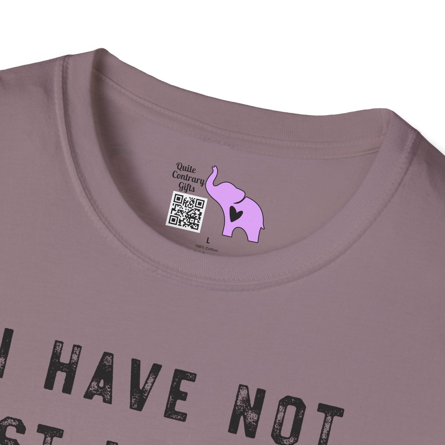 I Have Not Lost My Mind It's Backed Up On A Disk Adult T-shirt