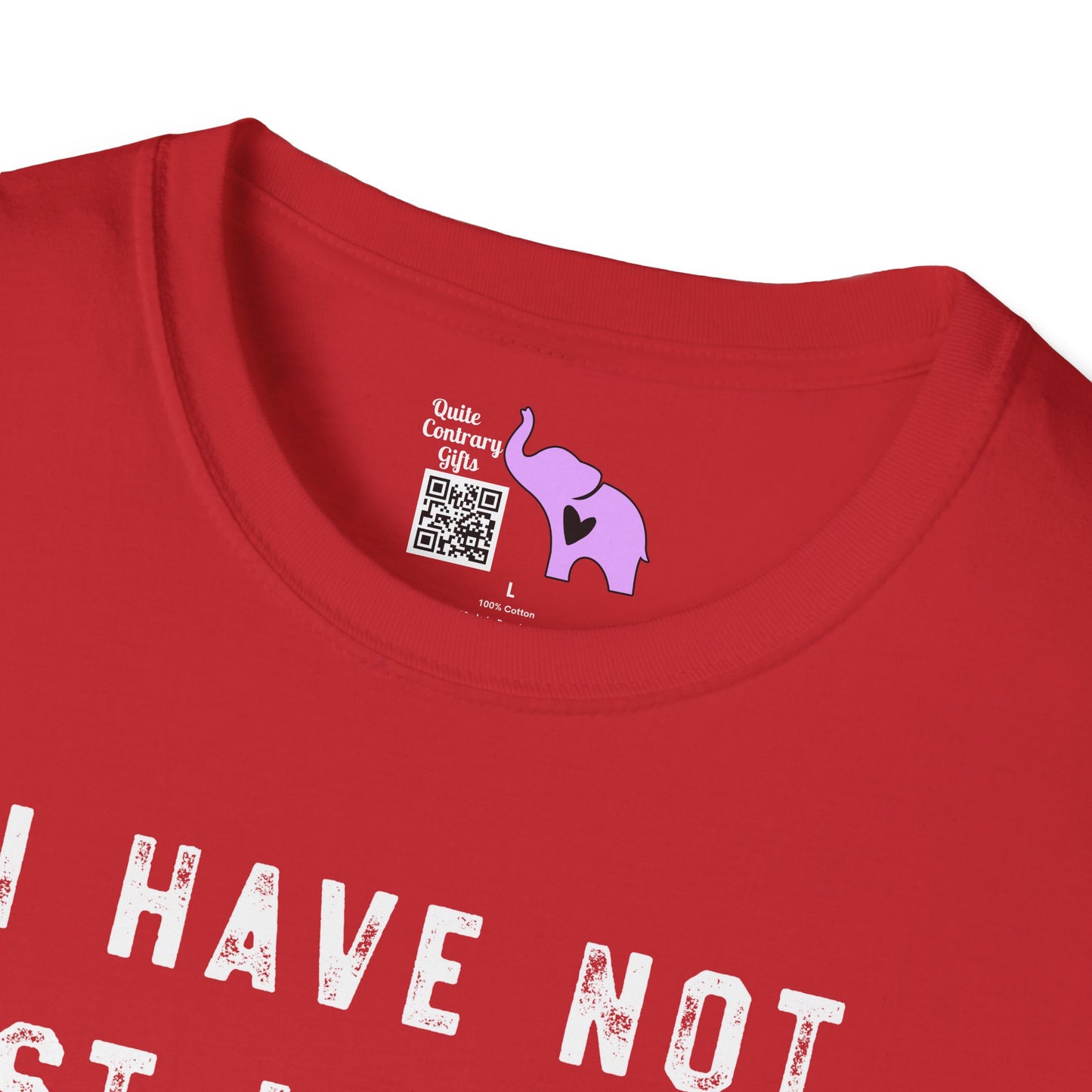 I Have Not Lost My Mind It's Backed Up On A Disk Adult T-shirt