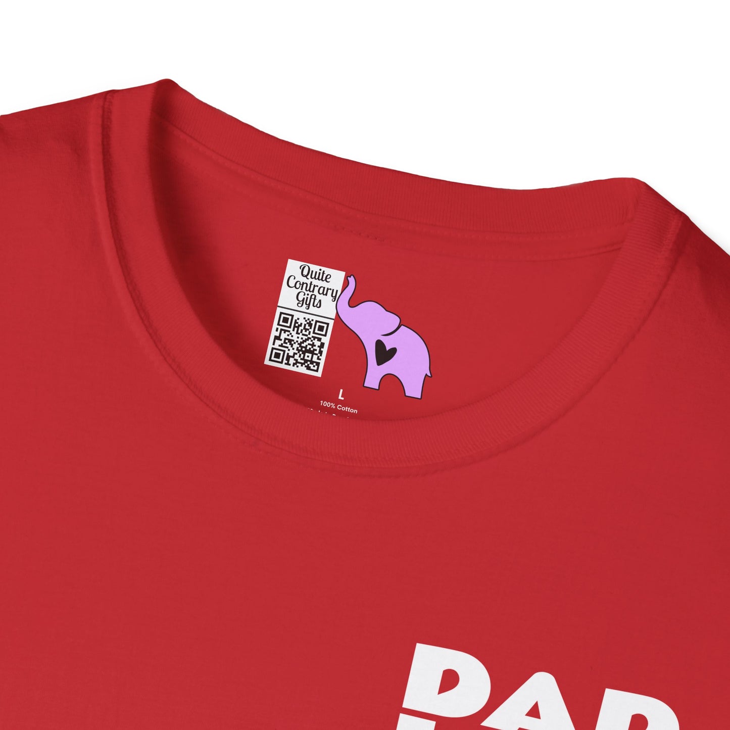 I Used To Be In Charge Then I Had A Son Adult T-shirt
