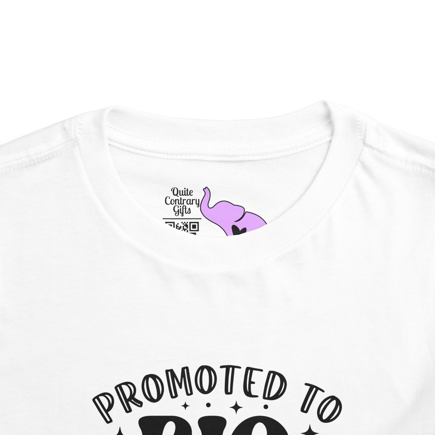 Promoted to Big Sister Toddler Tee