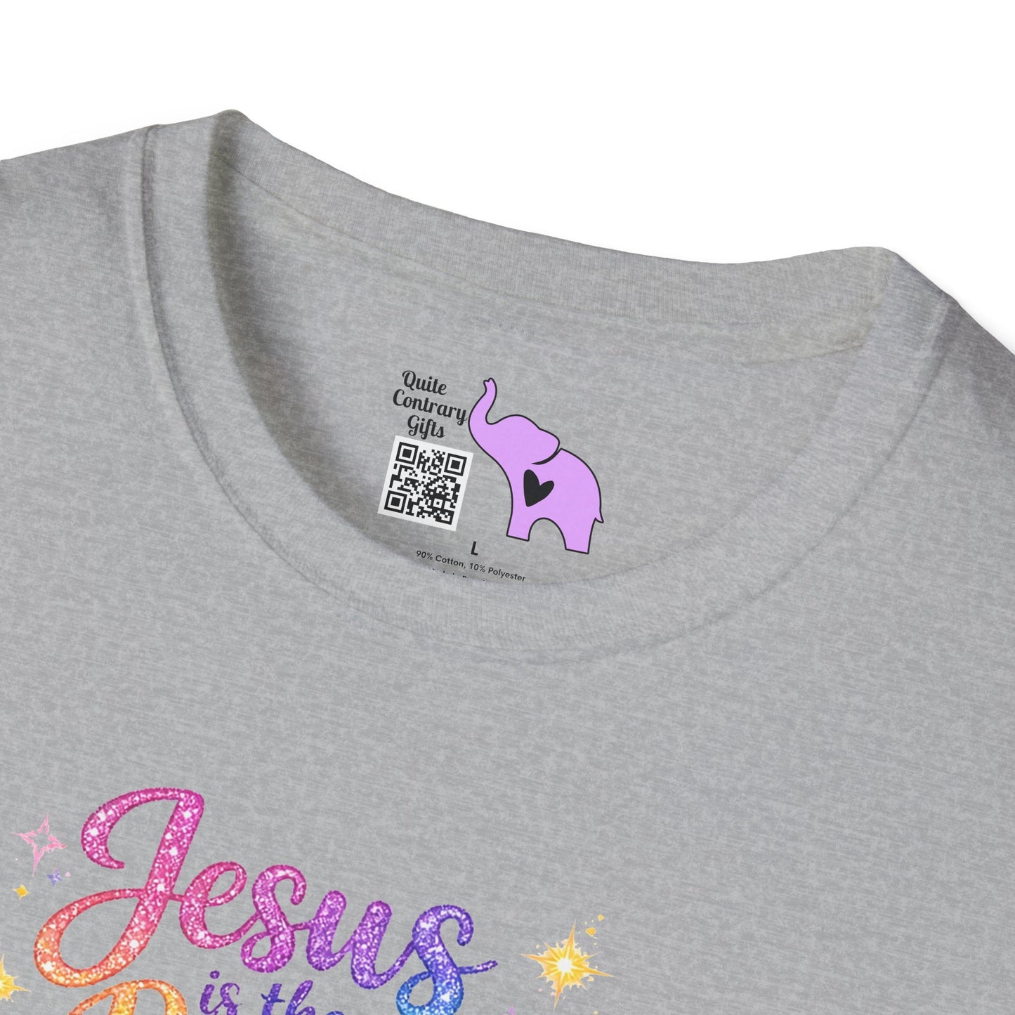 Jesus Is The Reason Adult T-shirt