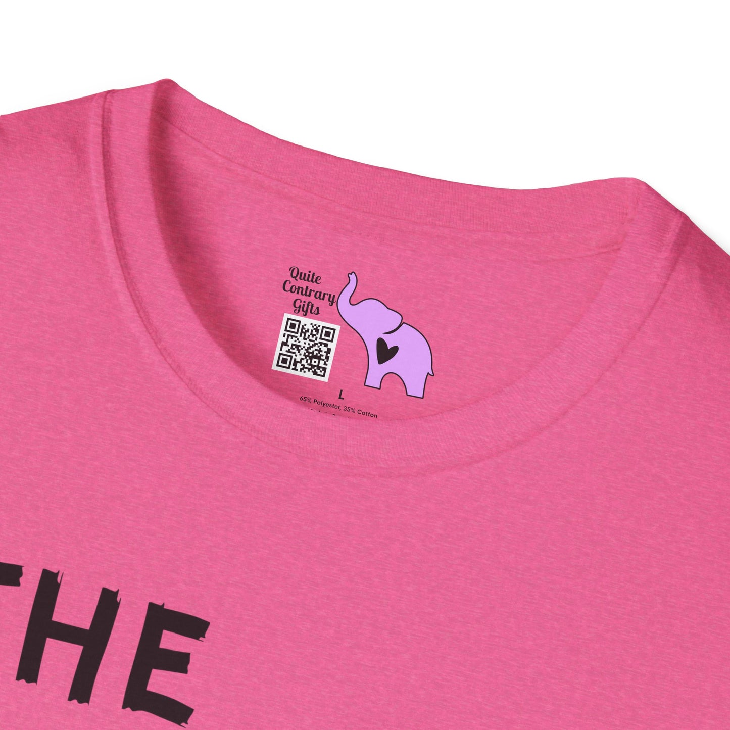 The Rainbow Is A Symbol of God's Promise Adult T-shirt