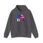 USA Red White & Blue Sunflower Heavy Blend™ Hooded Sweatshirt