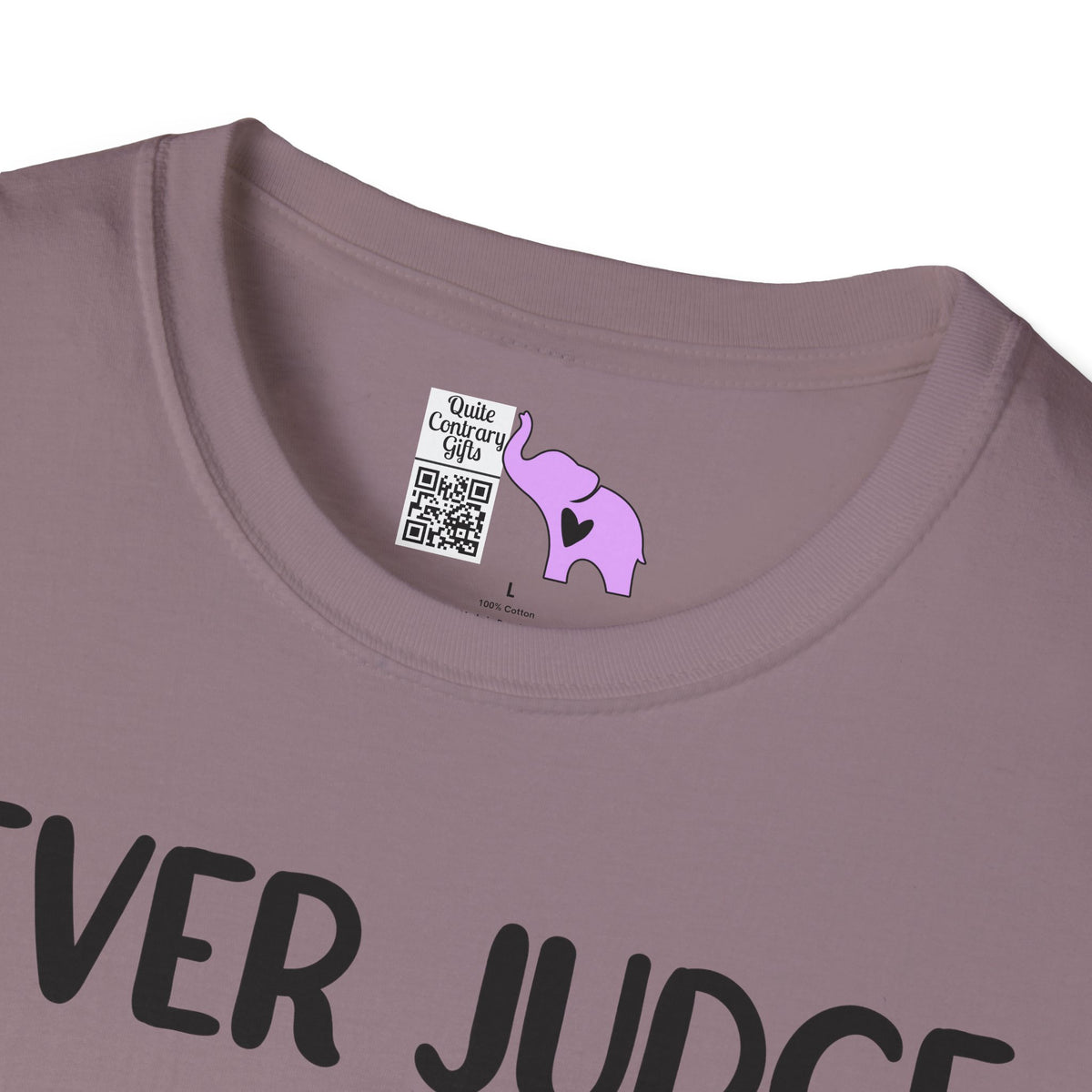 Never Judge Someone By The Visibility Of Their Illness Adult T-shirt