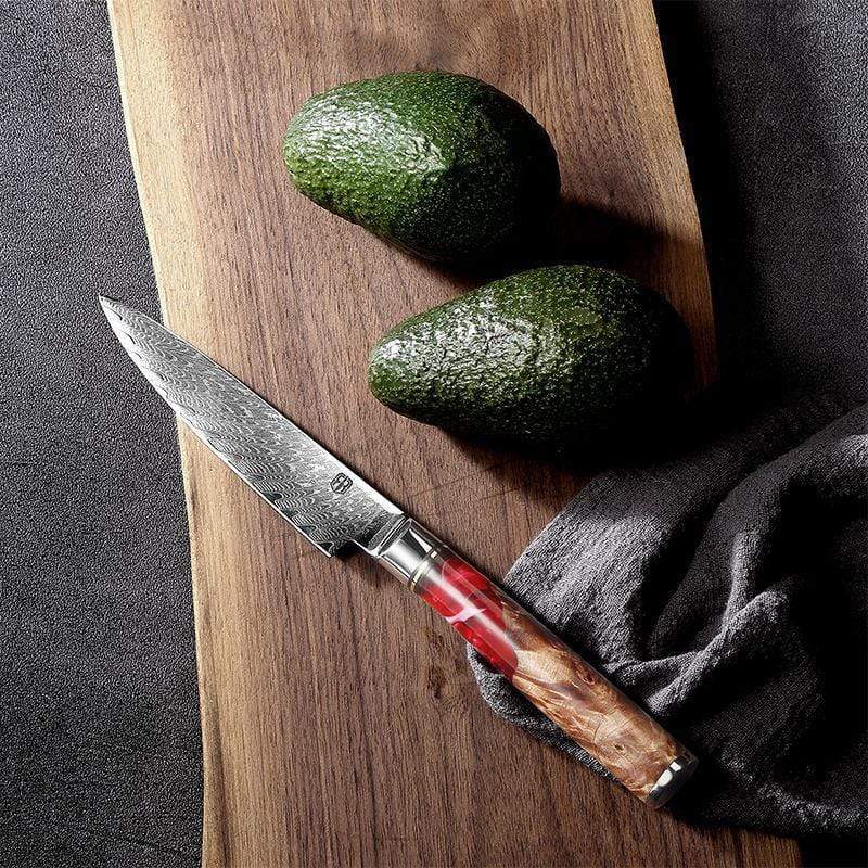 Damascus Steel Chef's Knife Set w/Red Resin & Wood Handle