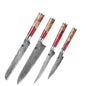 Damascus Steel Chef's Knife Set w/Red Resin & Wood Handle