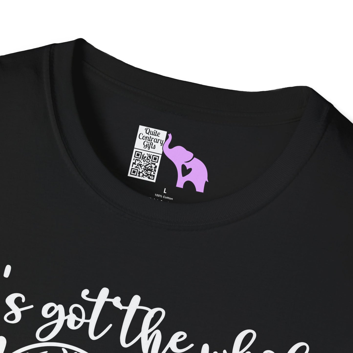 He's Got the Whole World in His Hands (2) Adult T-shirt