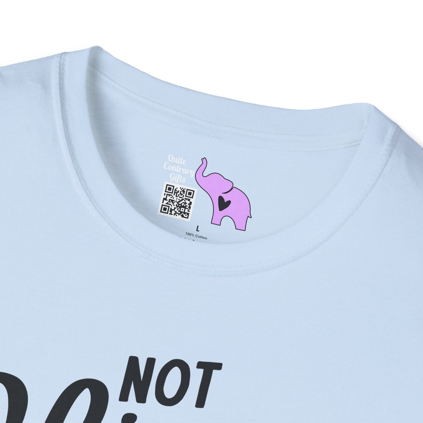 Not Slim Kinda Shady Adult T-shirt