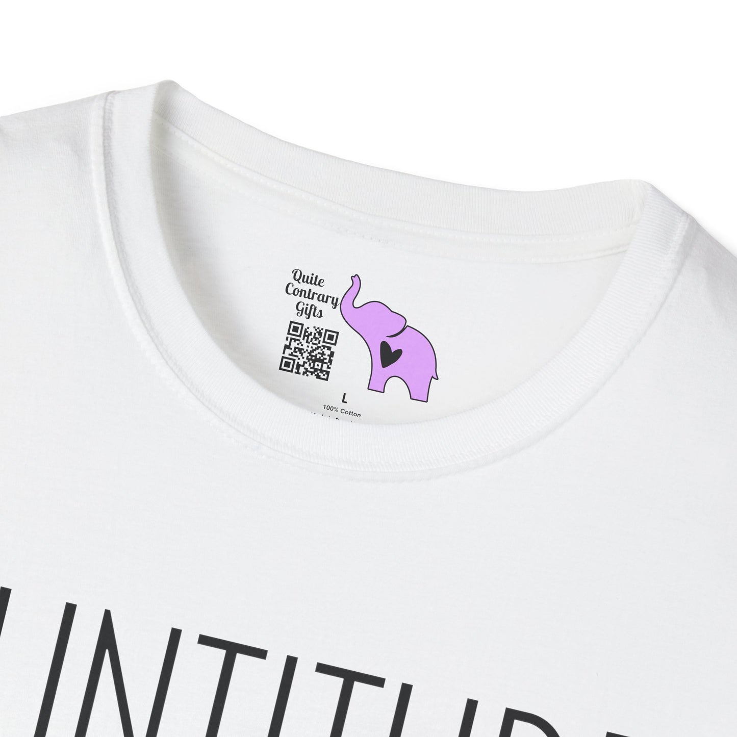 Auntitude Adult T-shirt