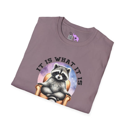 It Is What It Is And It's Not Great Raccoon Adult T-shirt