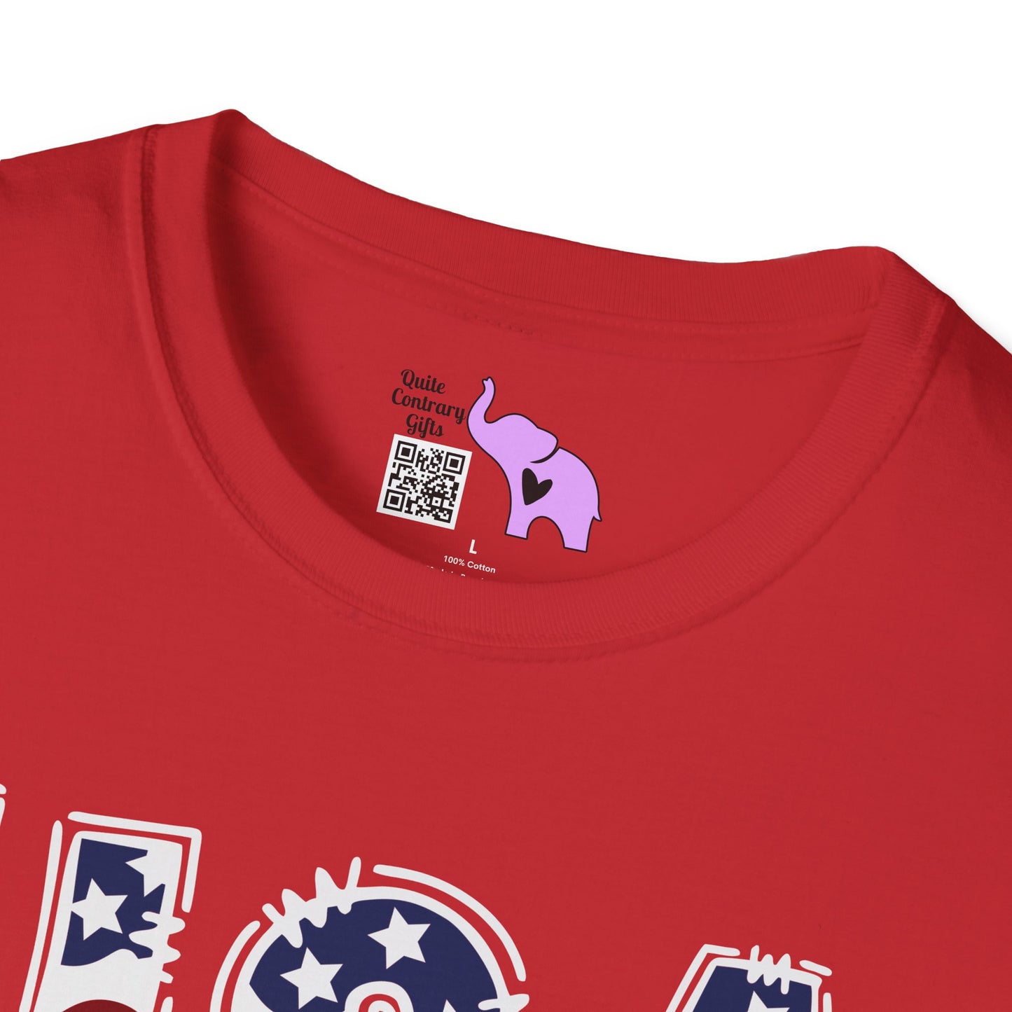 USA in Style Adult T-shirt