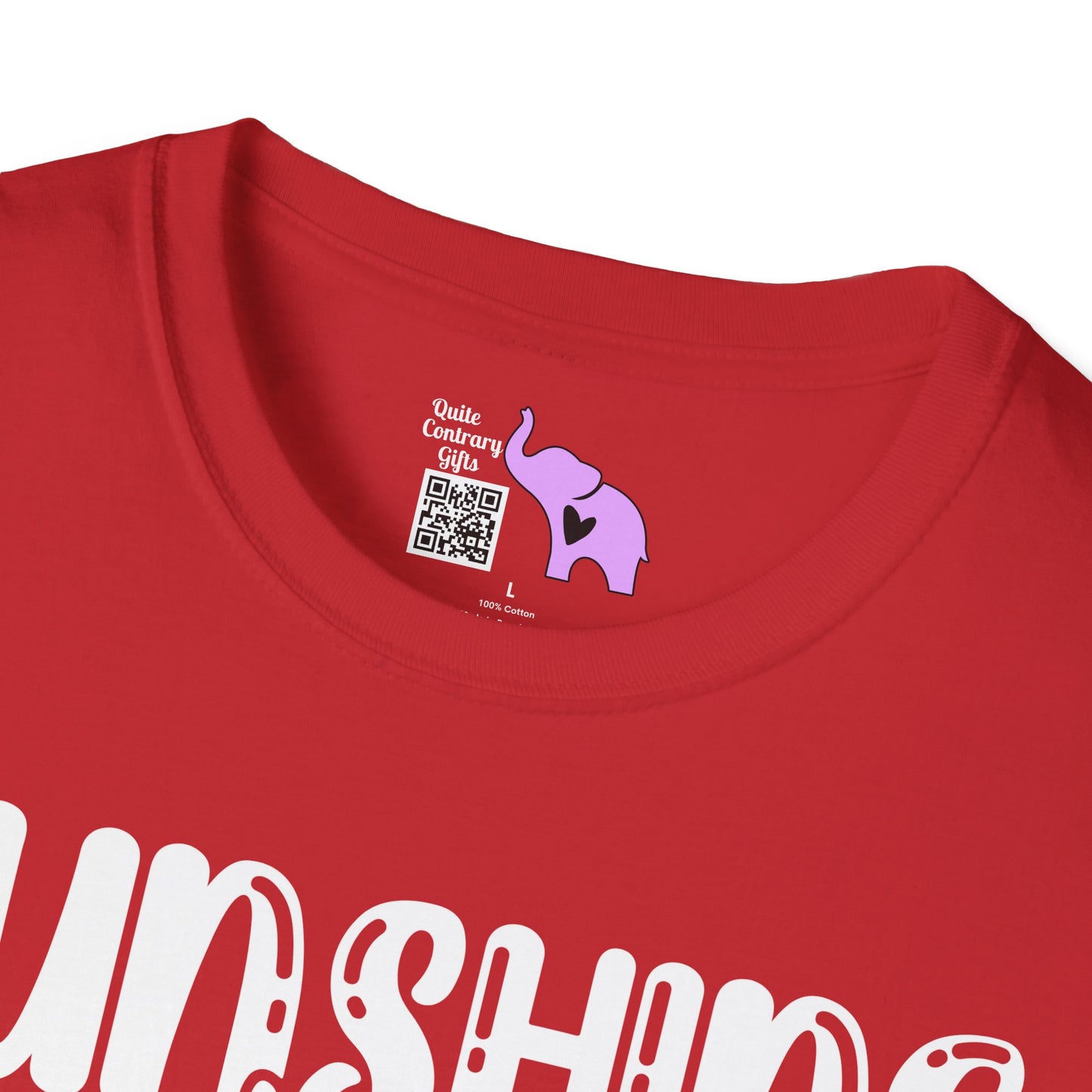 Sunshine Mixed With A Little Hurricane Adult T-shirt