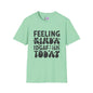 Feeling Kinda IDGAF-ish Today Adult T-shirt