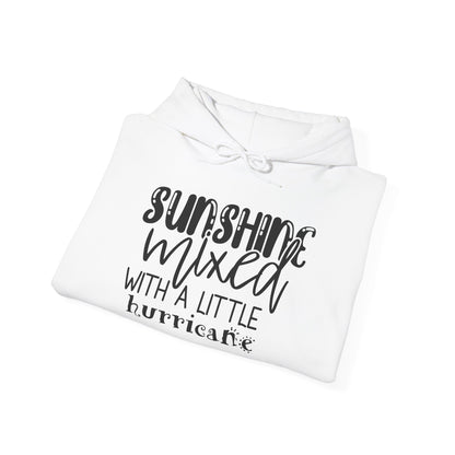 Sunshine Mixed With A Little Hurricane Heavy Blend™ Hooded Sweatshirt