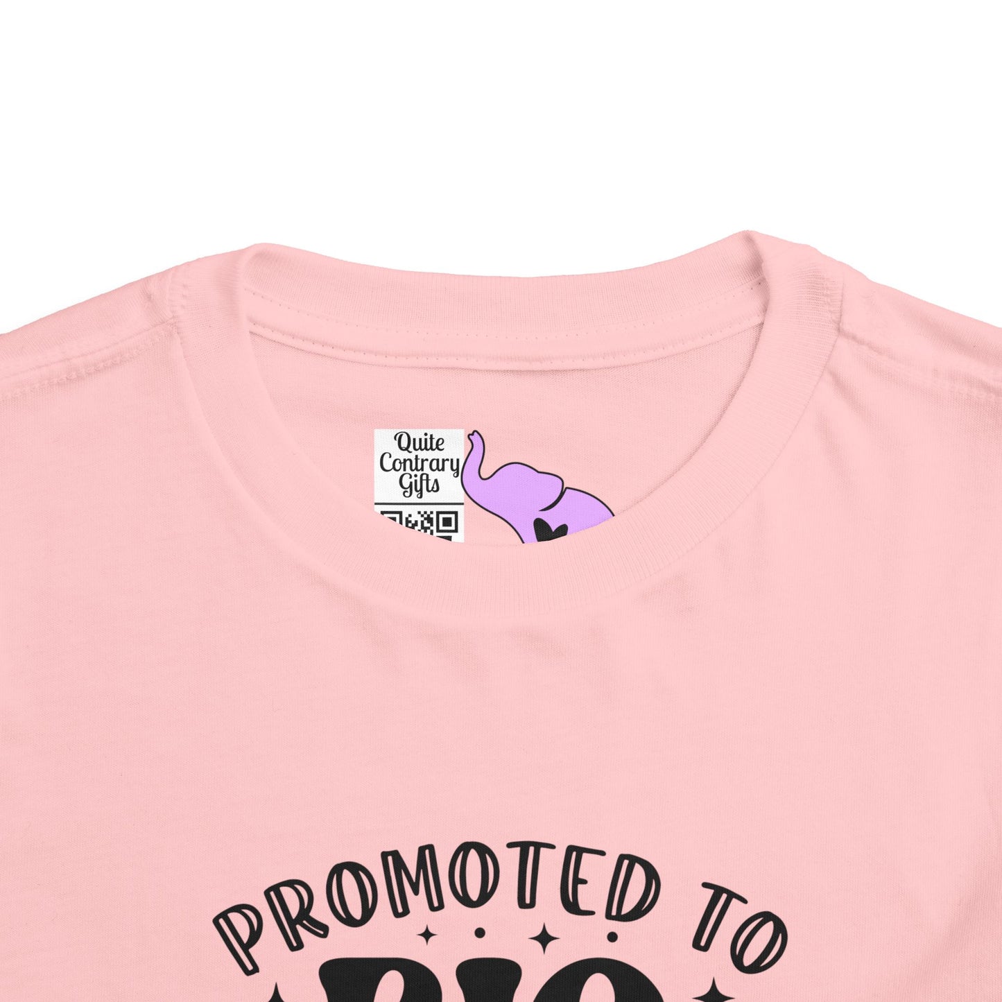 Promoted to Big Sister Toddler Tee
