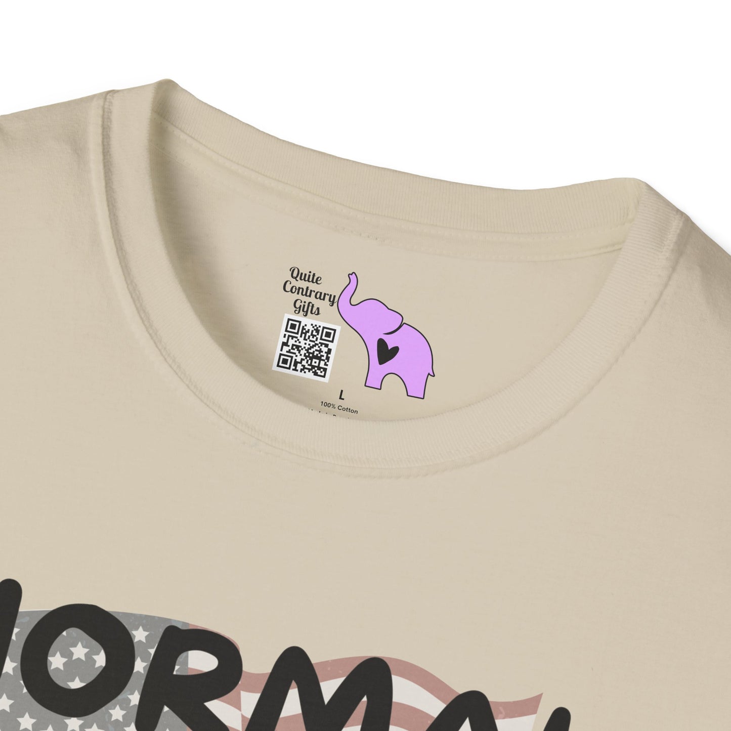 Normal Isn't Coming Back But Jesus Is Adult T-shirt