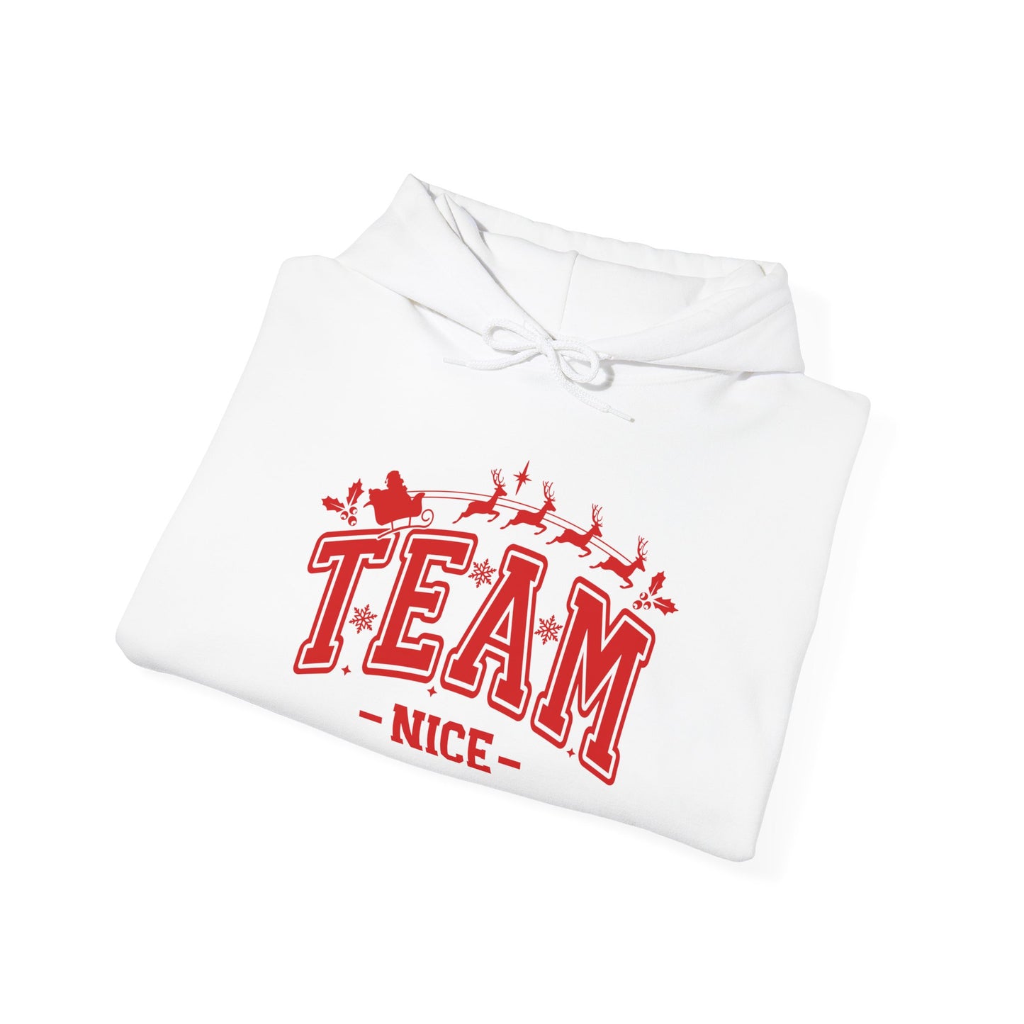 Team Nice Adult Heavy Blend™ Hoodie