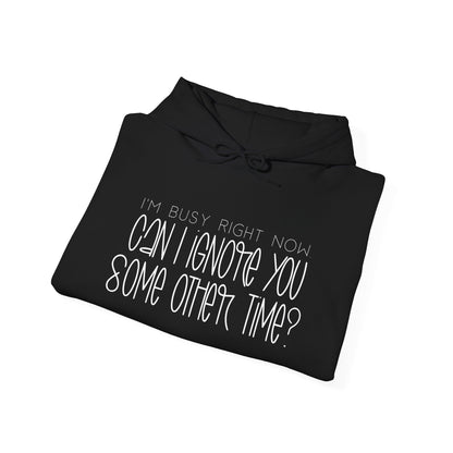 I'm Busy Right Now Can I Ignore You Later? Heavy Blend™ Hooded Sweatshirt