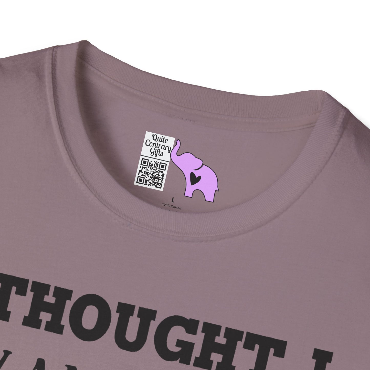 I Thought I Wanted A Career Turns Out I Just Wanted A Paycheck Adult T-shirt