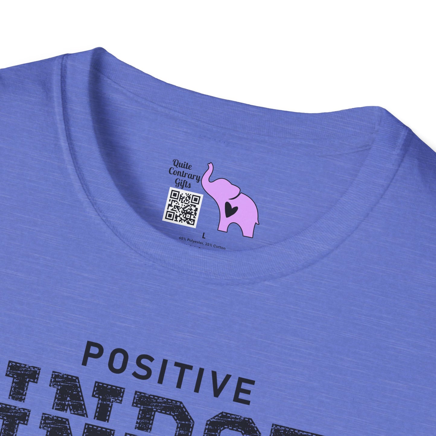 Positive Mindset Is Everything Adult T-shirt