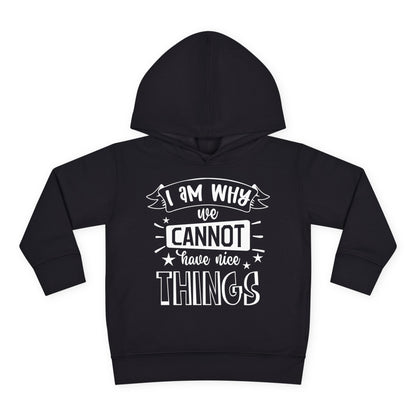 I Am Why We Cannot Have Nice Things Toddler Hoodie