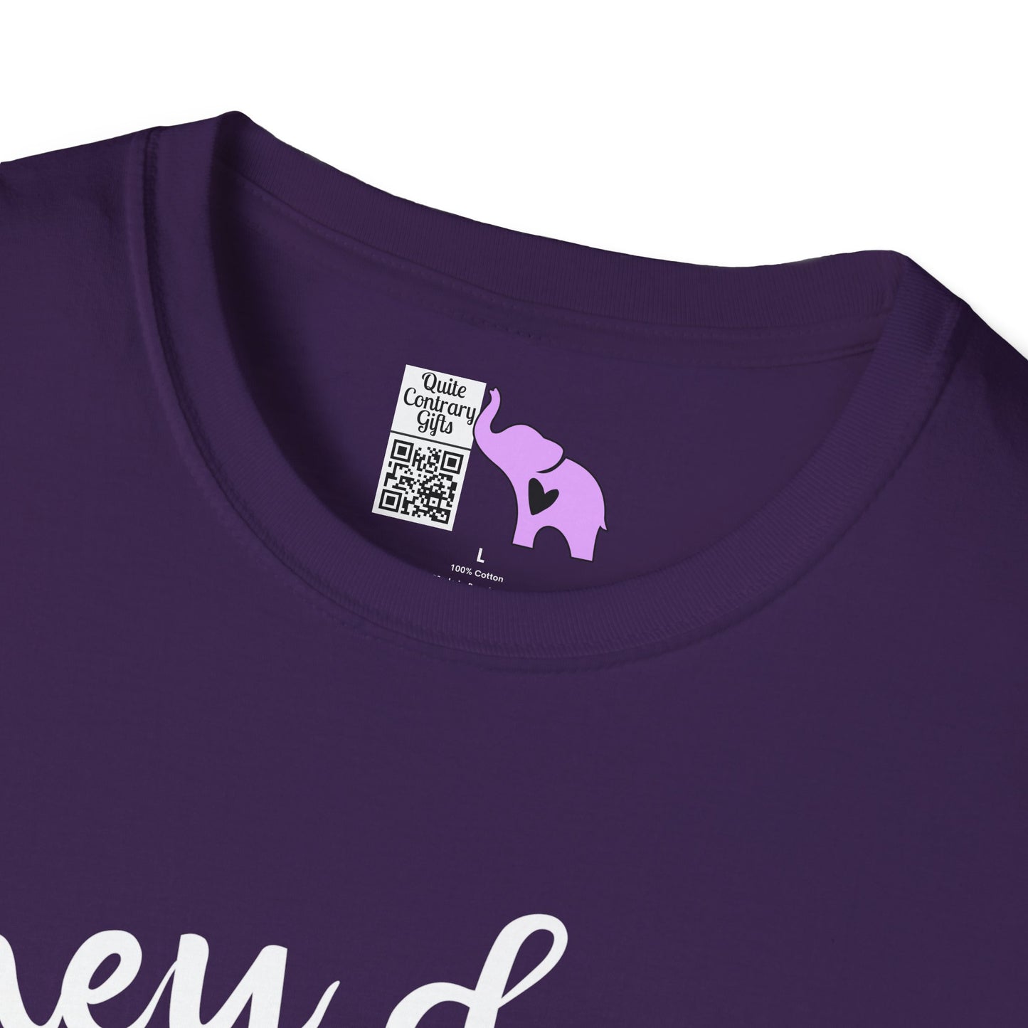 They Don't Pay Me Enough To Care Adult T-shirt