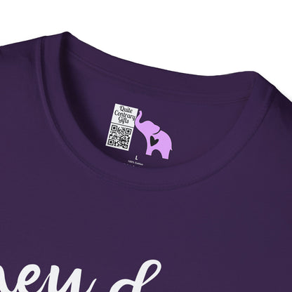 They Don't Pay Me Enough To Care Adult T-shirt