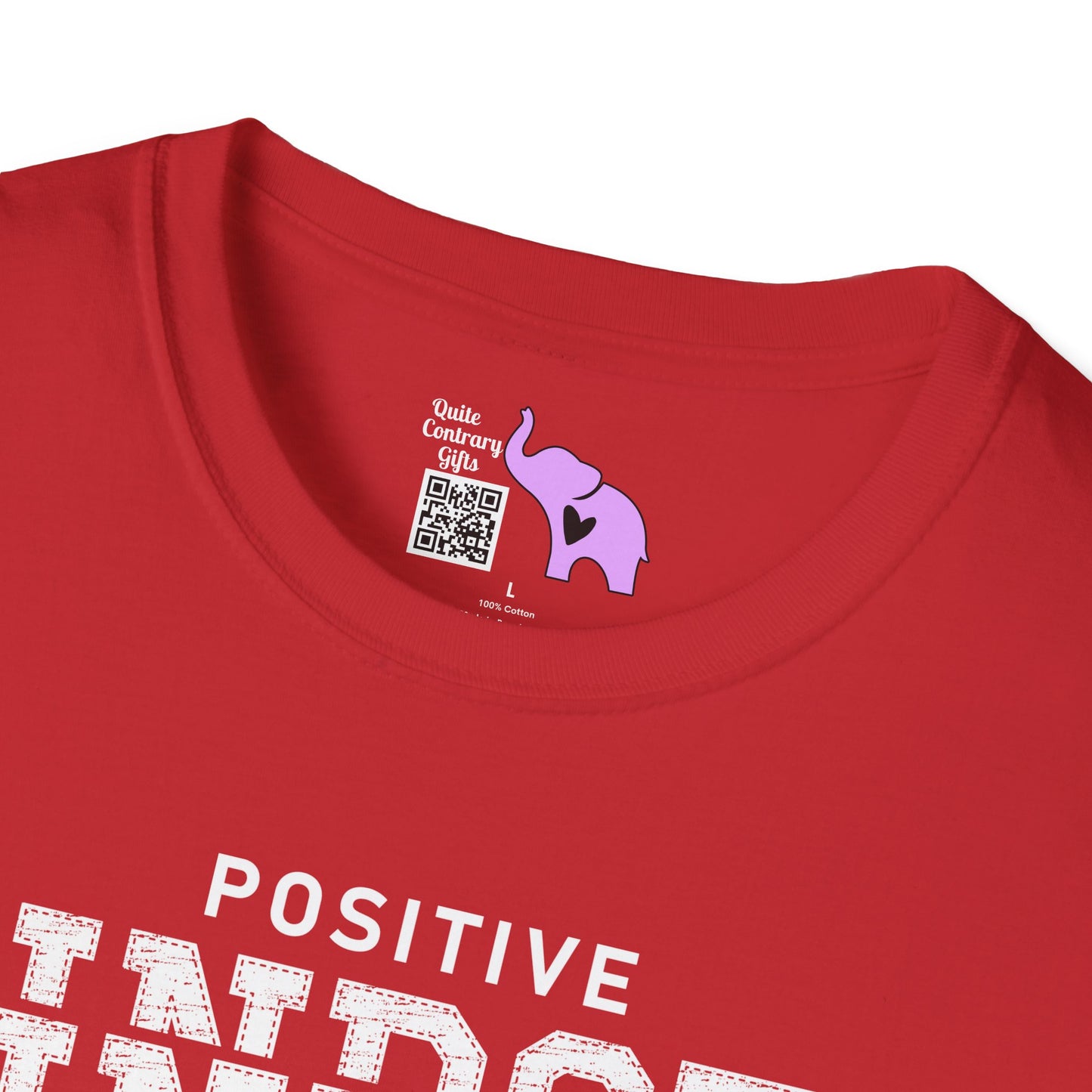 Positive Mindset Is Everything Adult T-shirt