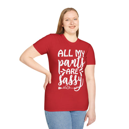 All My Pants Are Sassy T-shirt