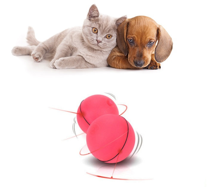 Zoomie Light Ball for Pets