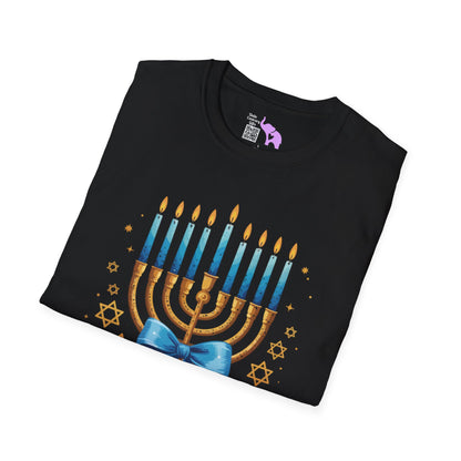 Love & Light Menorah Adult T-shirt