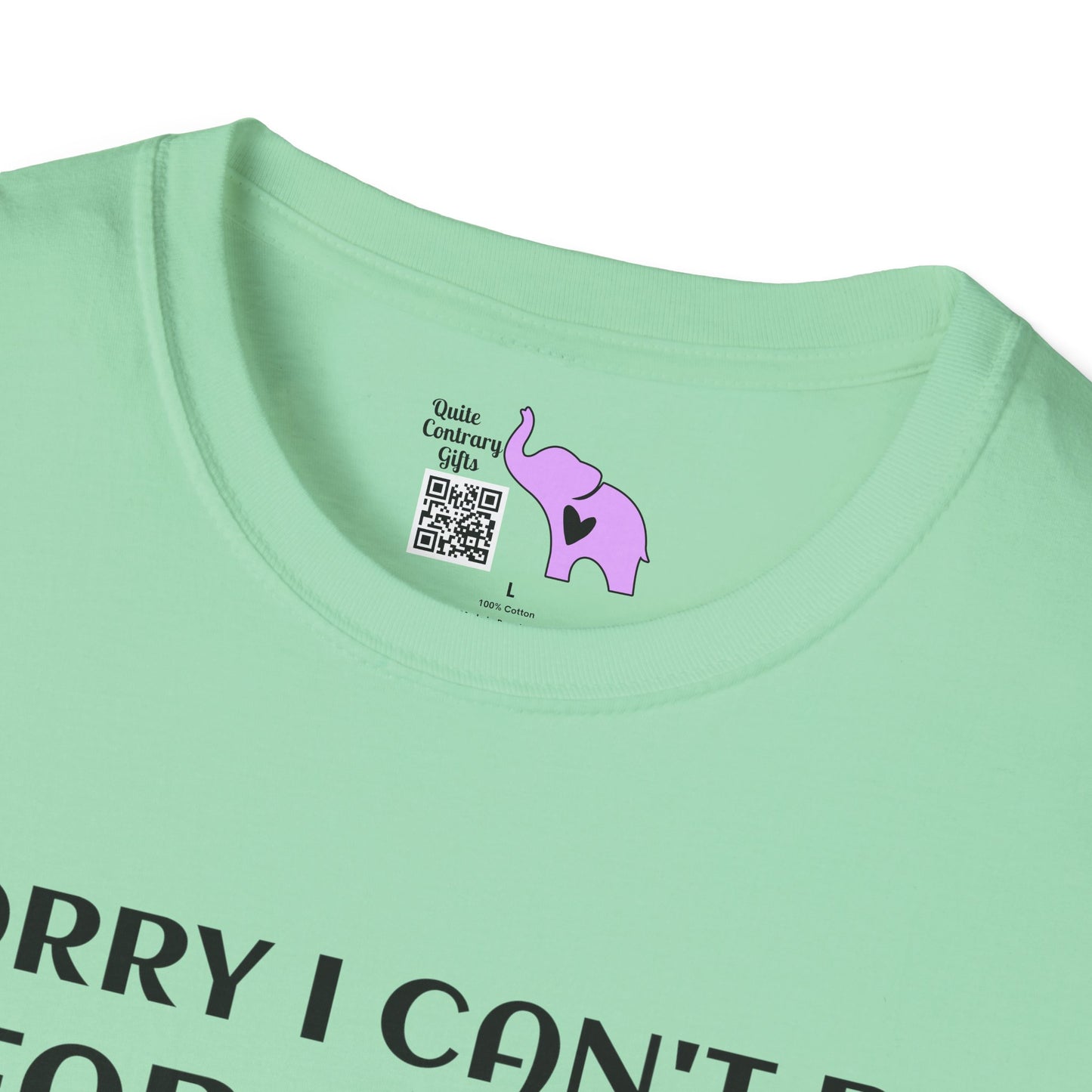 Sorry I Can't Be Fabulous Today... Adult T-shirt