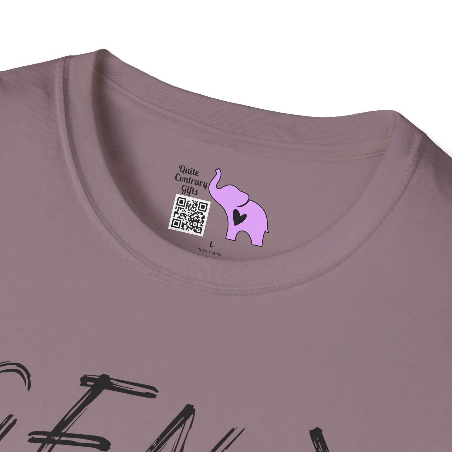 Gen X Vintage Chaos, Undocumented Adult T-shirt